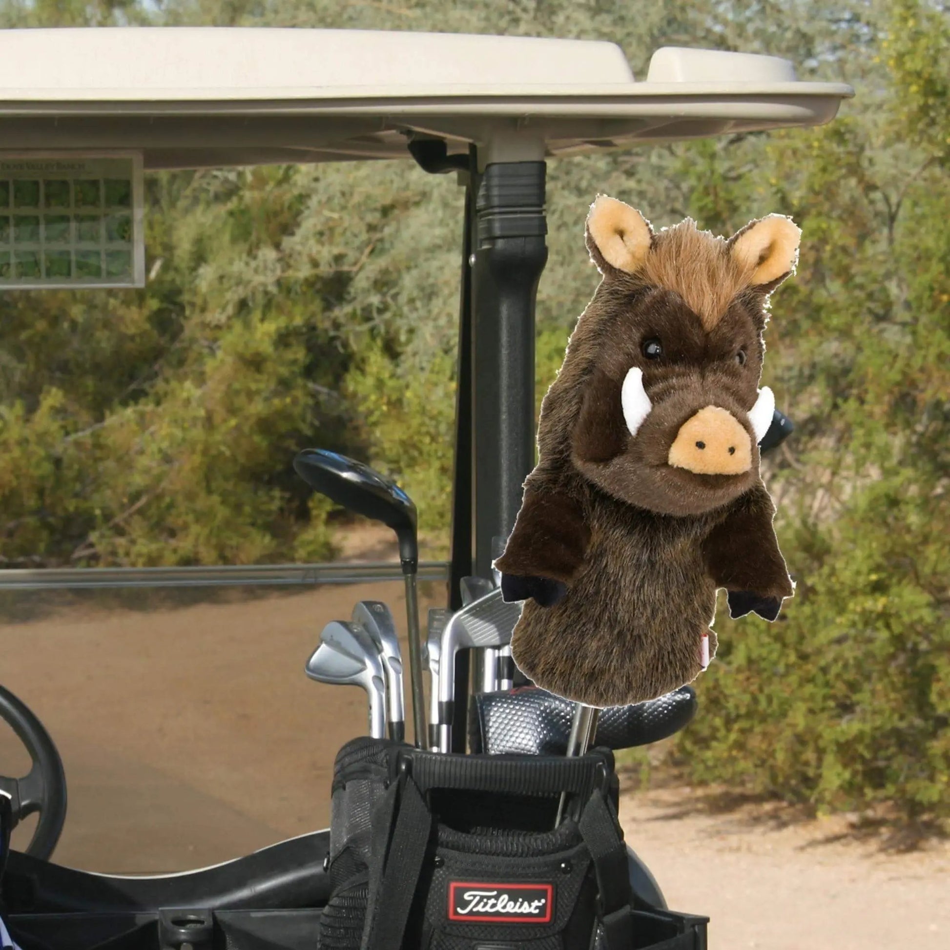 Boar Headcover by Daphne's - Golf Gifts Direct